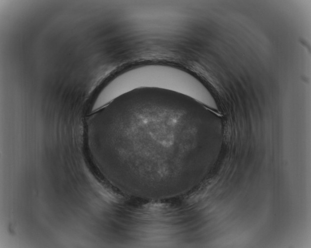 X0000091500448200709131853