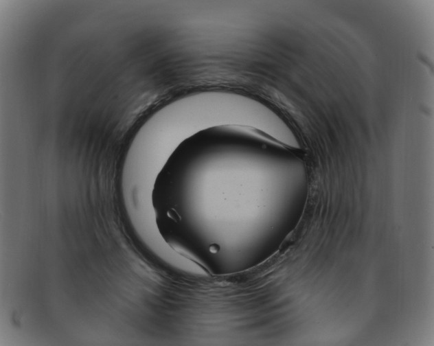 X0000091500452200709131854