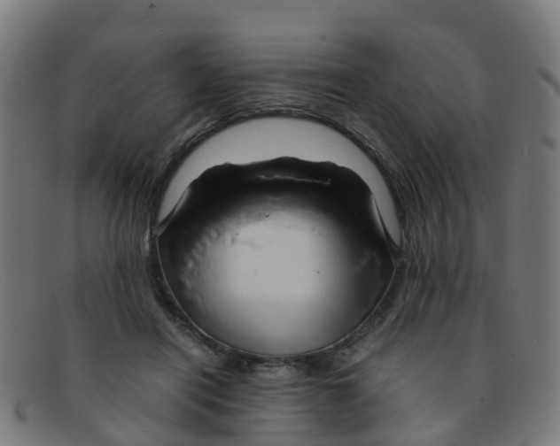 X0000091500454200709131854