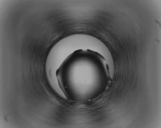 X0000091500456200709131854