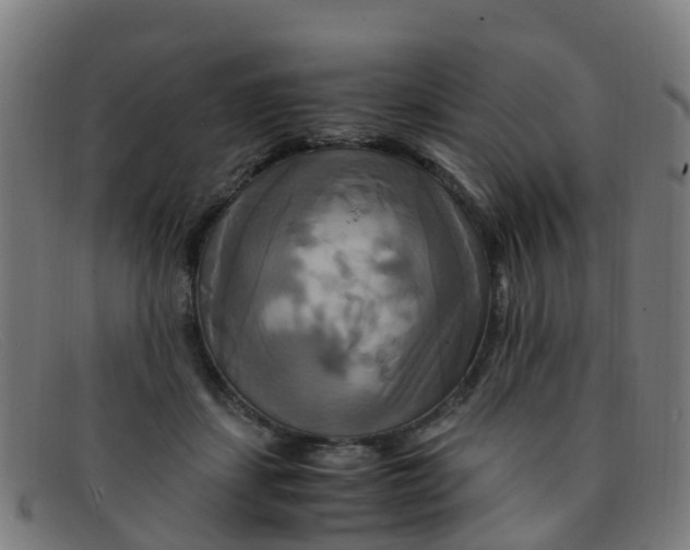 X0000091500459200709131854