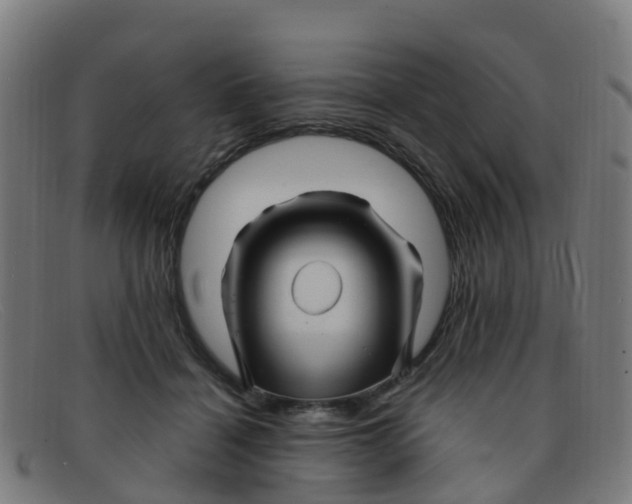 X0000091500460200709131854