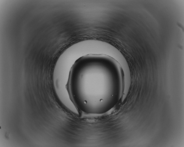 X0000091500464200709131854