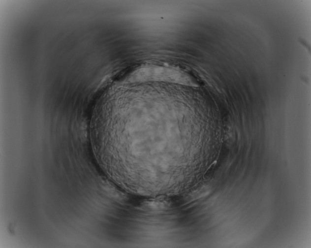 X0000091500466200709131854