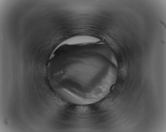 X0000091500469200709131854