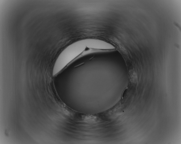 X0000091500471200709131854