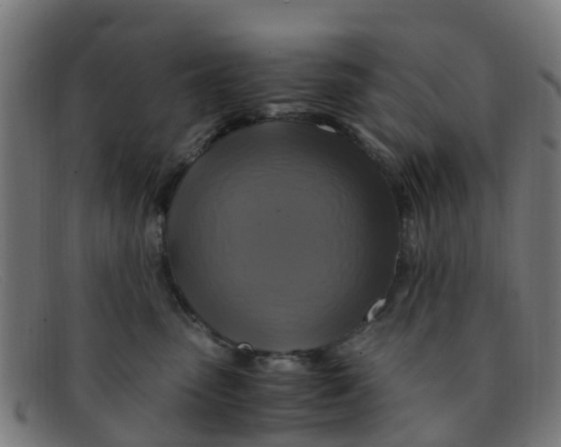 X0000091500475200709131854