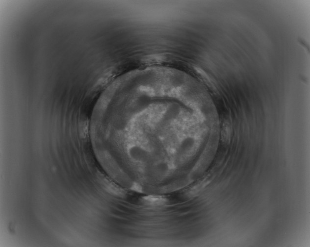 X0000091500477200709131854