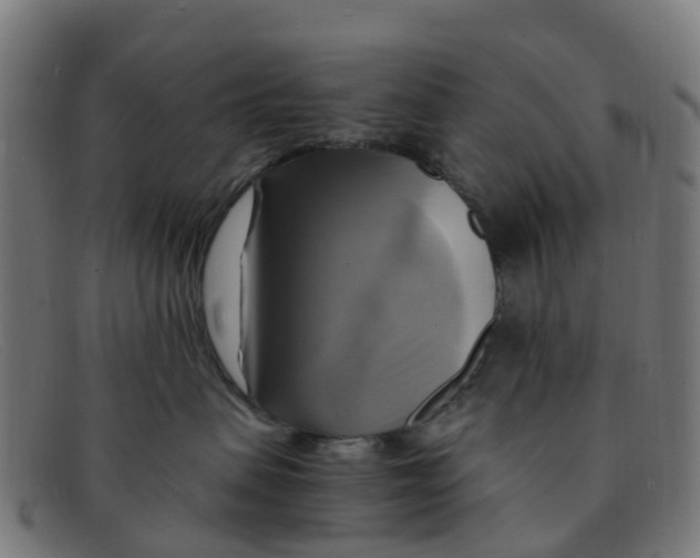 X0000091500479200709131854