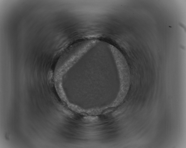 X0000091500480200709131854