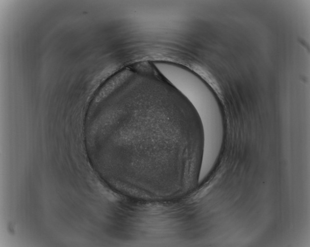 X0000091500481200709131853