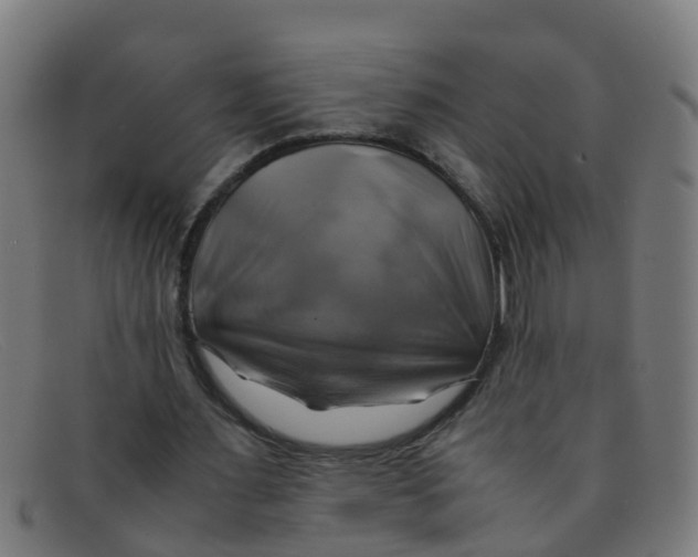 X0000091500483200709131853