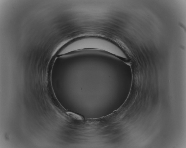 X0000091500484200709131853