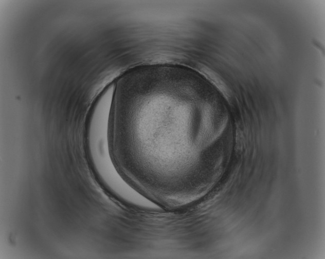 X0000091500485200709131853