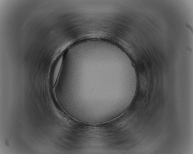 X0000091500486200709131853