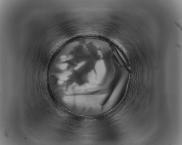 X0000091500487200709131853