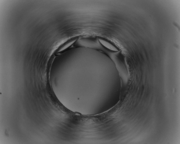 X0000091500488200709131853