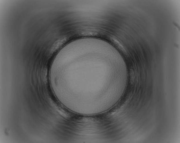 X0000091500490200709131853