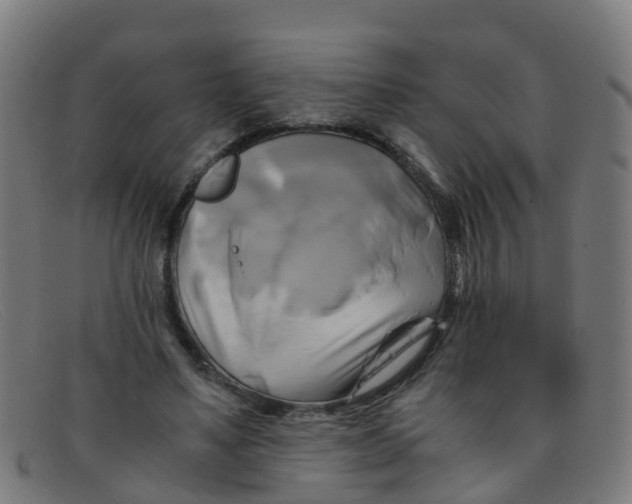 X0000091500491200709131853