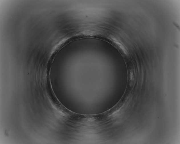 X0000091500492200709131853