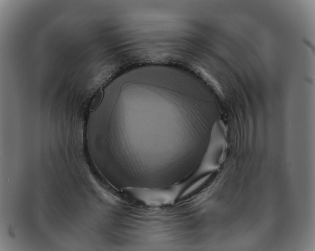 X0000091500493200709131853