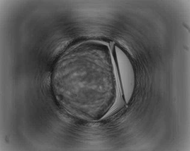 X0000091500495200709131853