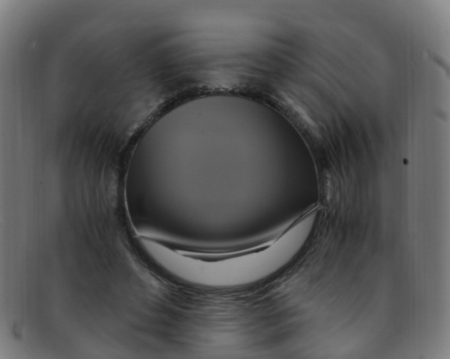 X0000091500496200709131853