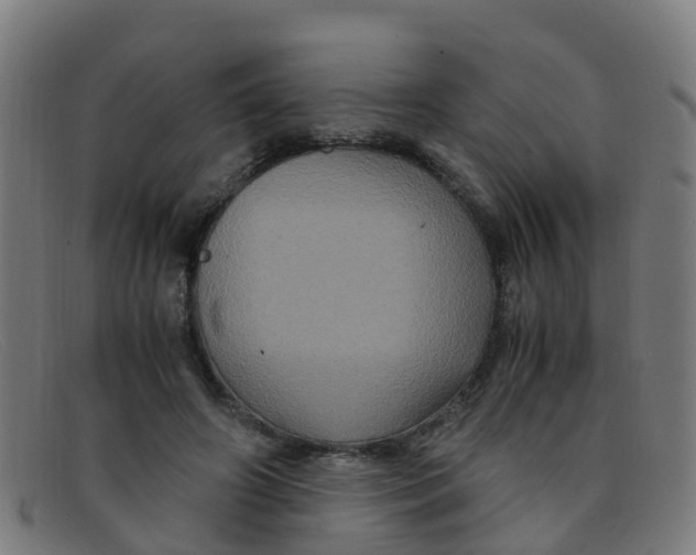 X0000091500498200709131853