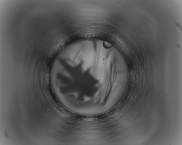 X0000091500499200709131853