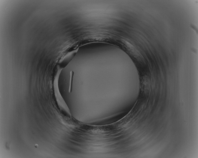 X0000091500500200709131853