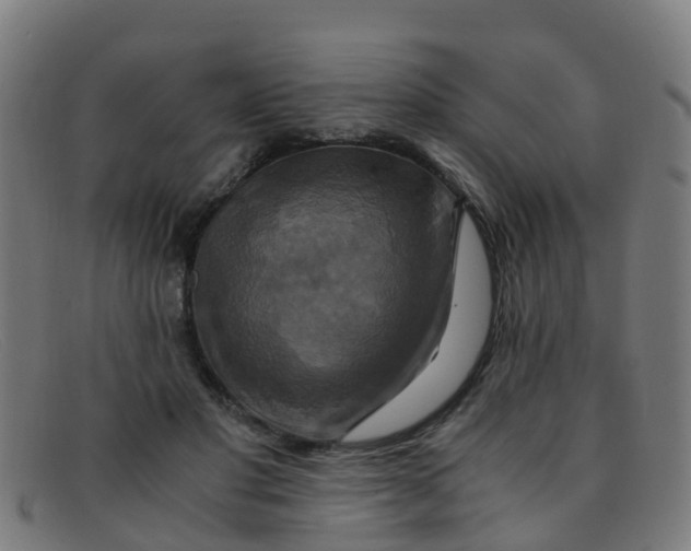 X0000091500501200709131853