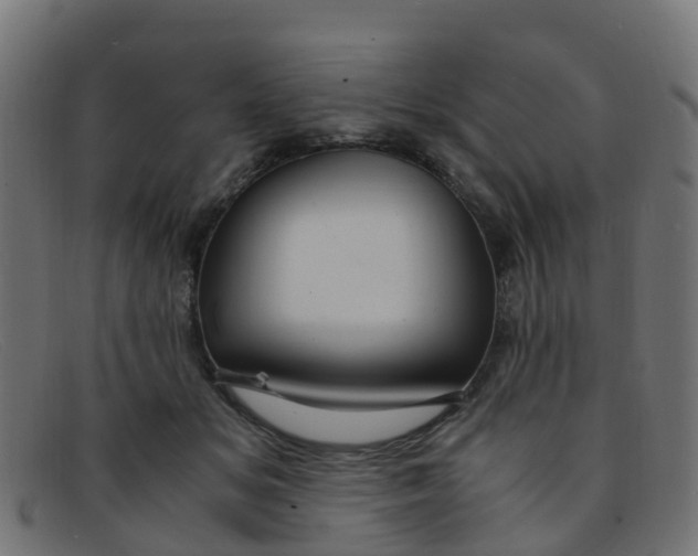 X0000091500509200709131853