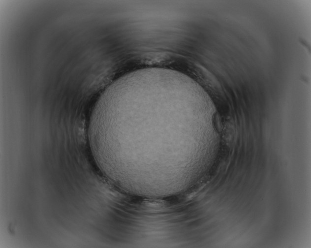 X0000091500510200709131853