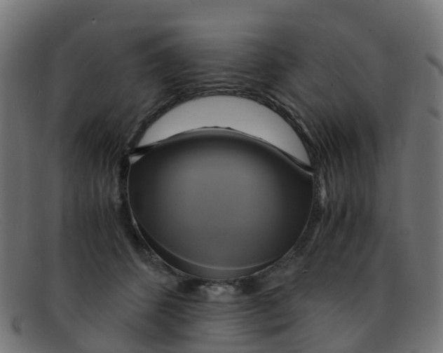 X0000091500512200709131853