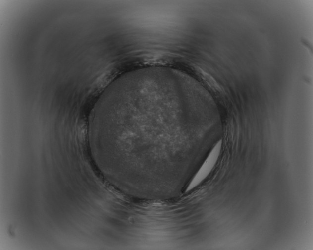 X0000091500513200709131853