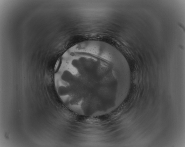 X0000091500515200709131853