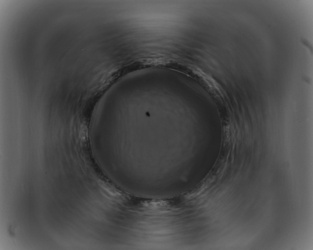 X0000091500517200709131853