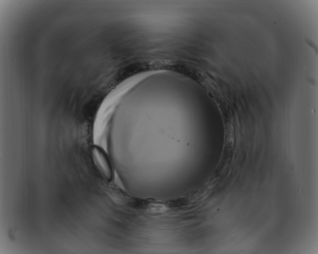 X0000091500519200709131853