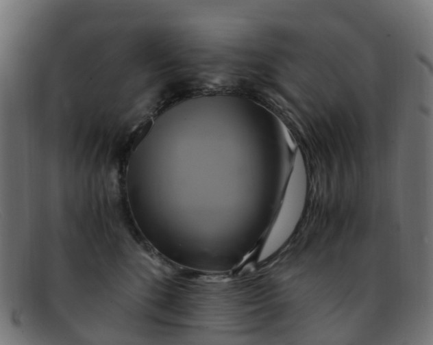 X0000091500520200709131853