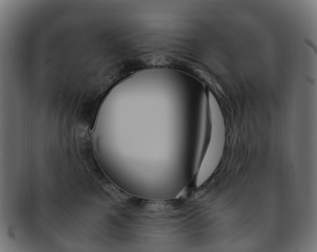 X0000091500521200709131853