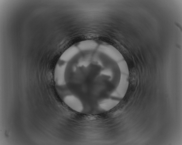 X0000091500523200709131853