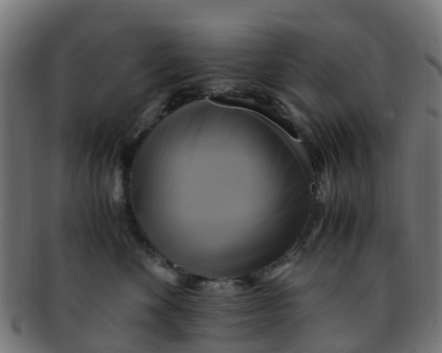 X0000091500524200709131853