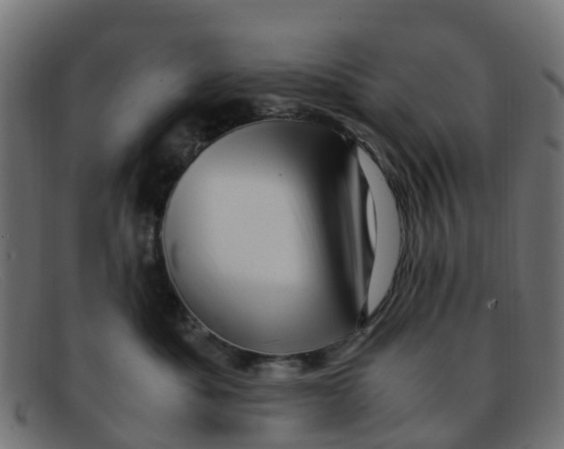 X0000091500525200709131853