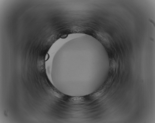 X0000091500526200709131853