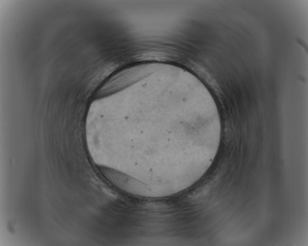 X0000091500529200709131852