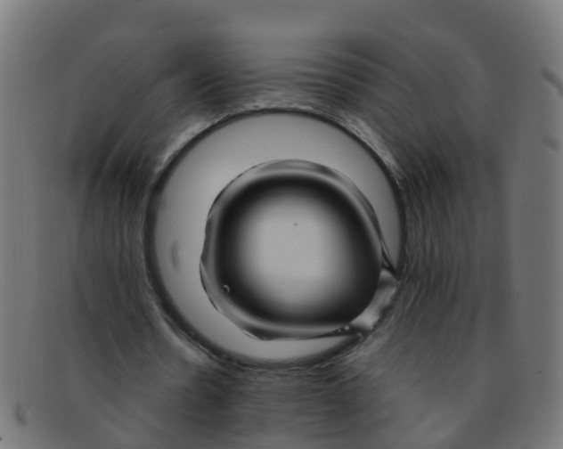 X0000091500530200709131852