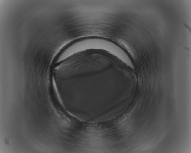 X0000091500532200709131852