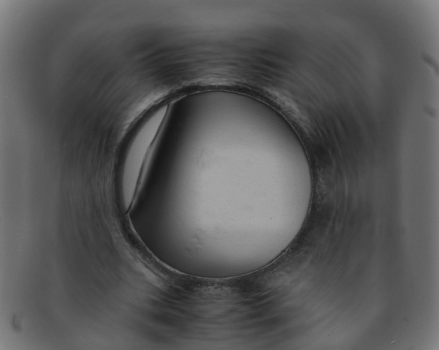 X0000091500535200709131852