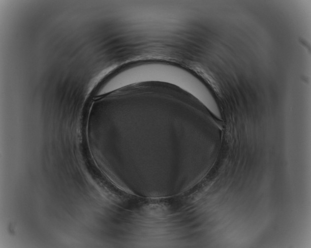 X0000091500536200709131852