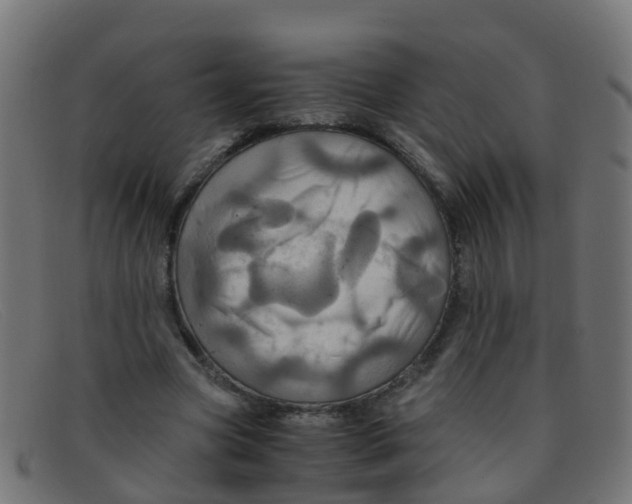 X0000091500537200709131852